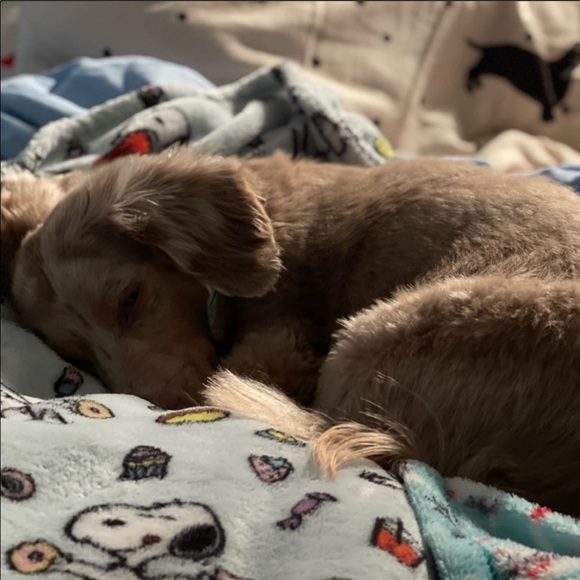 Share for share...⬇️⬇️⬇️⬇️. PLEASE read below. - Picture 13 of 16